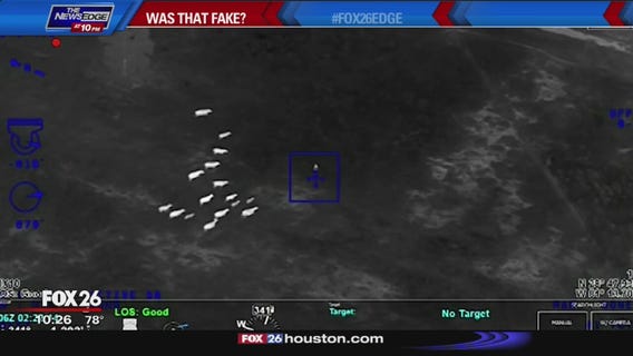 Was That Fake? - cows surround suspect