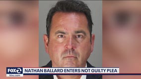 Prominent Democratic strategist pleads not guilty in domestic abuse case