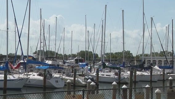 Busy development year ahead