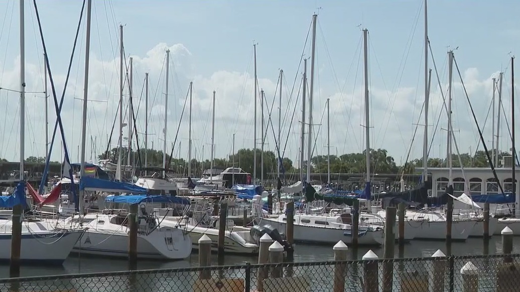 Busy development year ahead