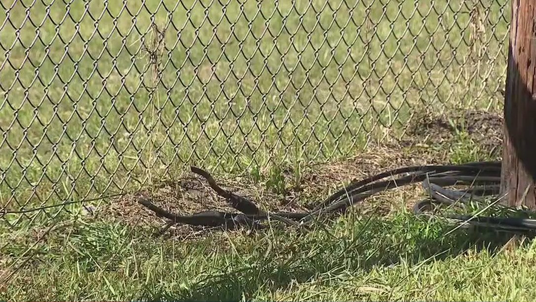 Local Houston ballpark vandalized, power cut, wires stolen