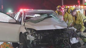 Deadly hit-and-run crash under investigation