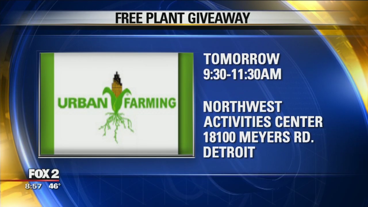 Urban Farming free plant giveaway