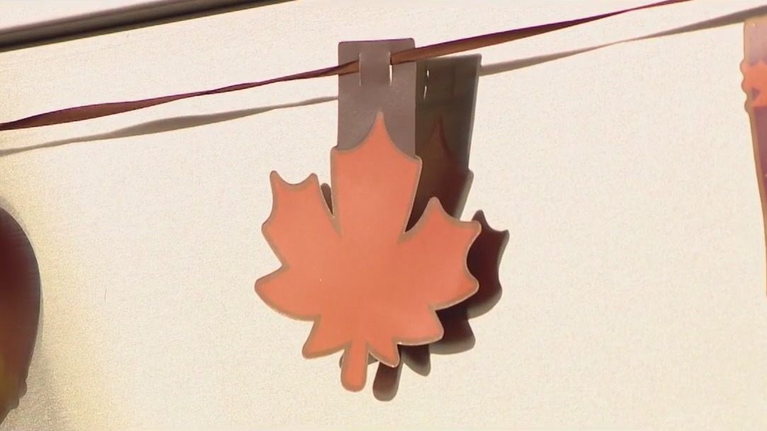 What are you thankful for this Thanksgiving?