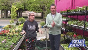 Greenery is the new scenery: Get an inside look at Urban Jungle