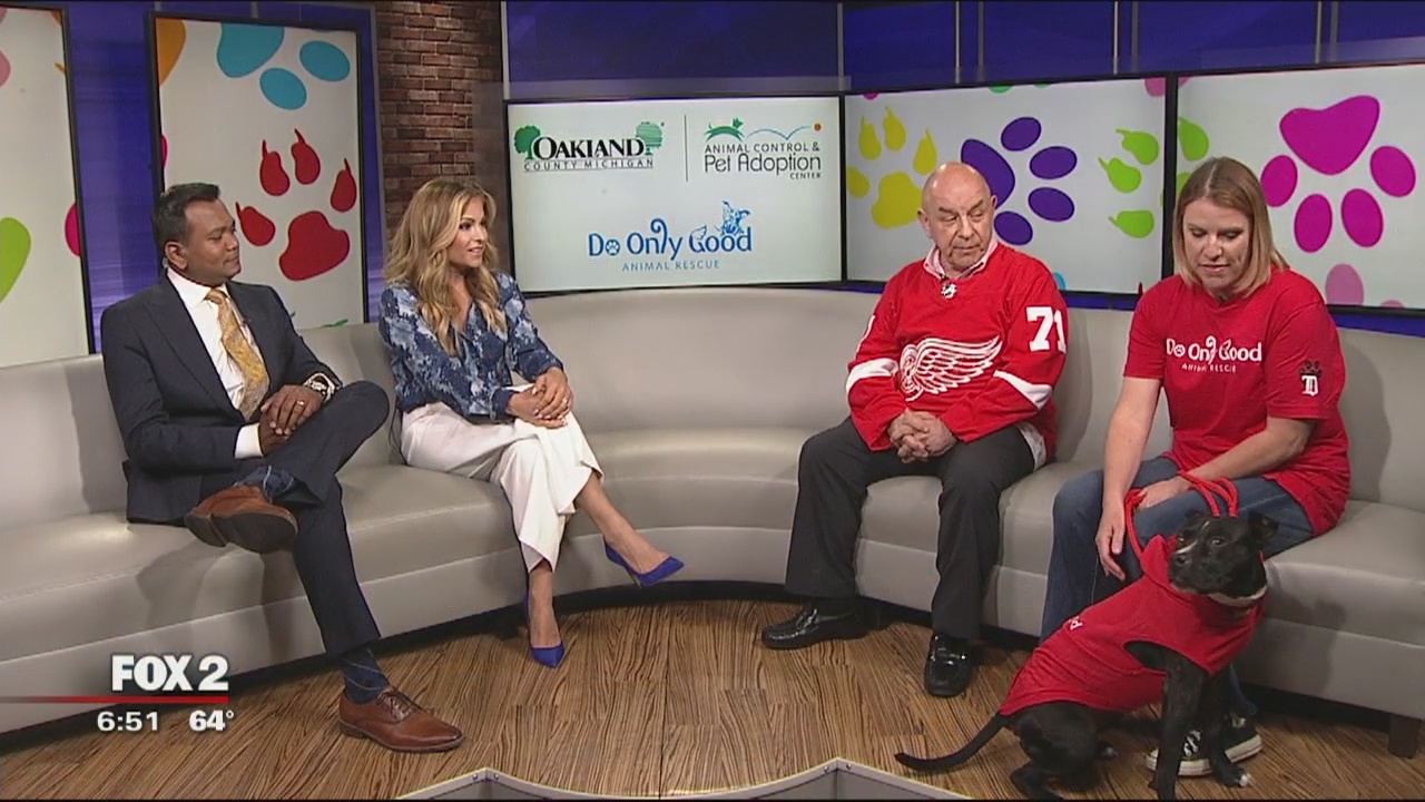 Meet Red Wings players Dylan Larkin, Mickey Redmond at Oakland County Animal Shelter