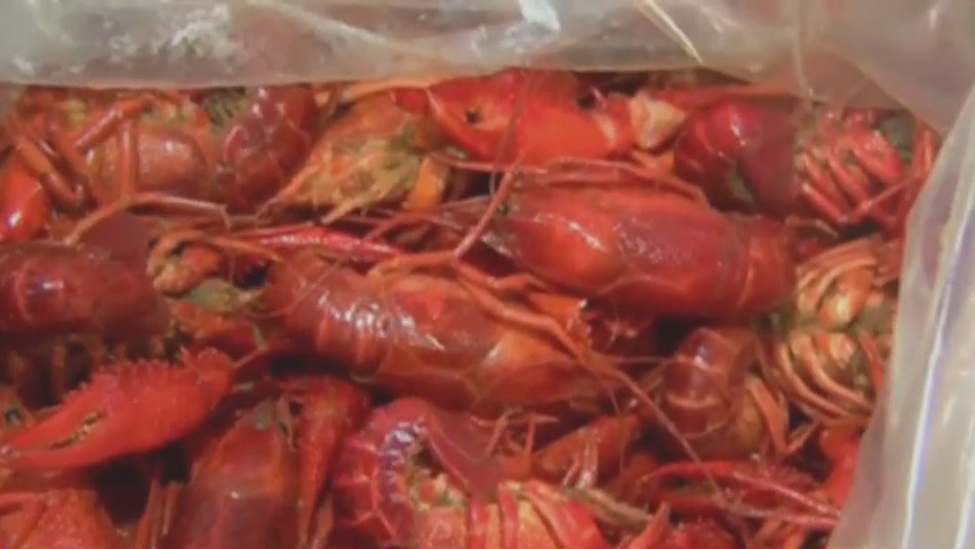 Crawfish shortage leads to higher prices