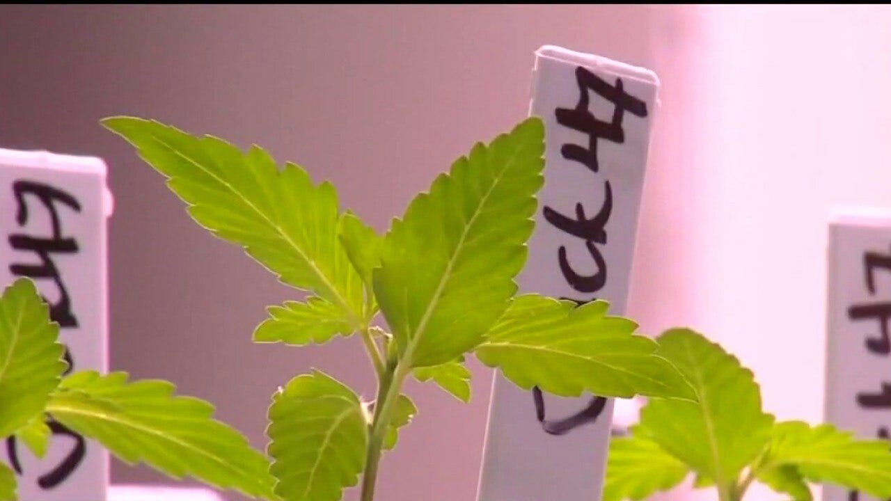 C3 Industries to close Webberville facility