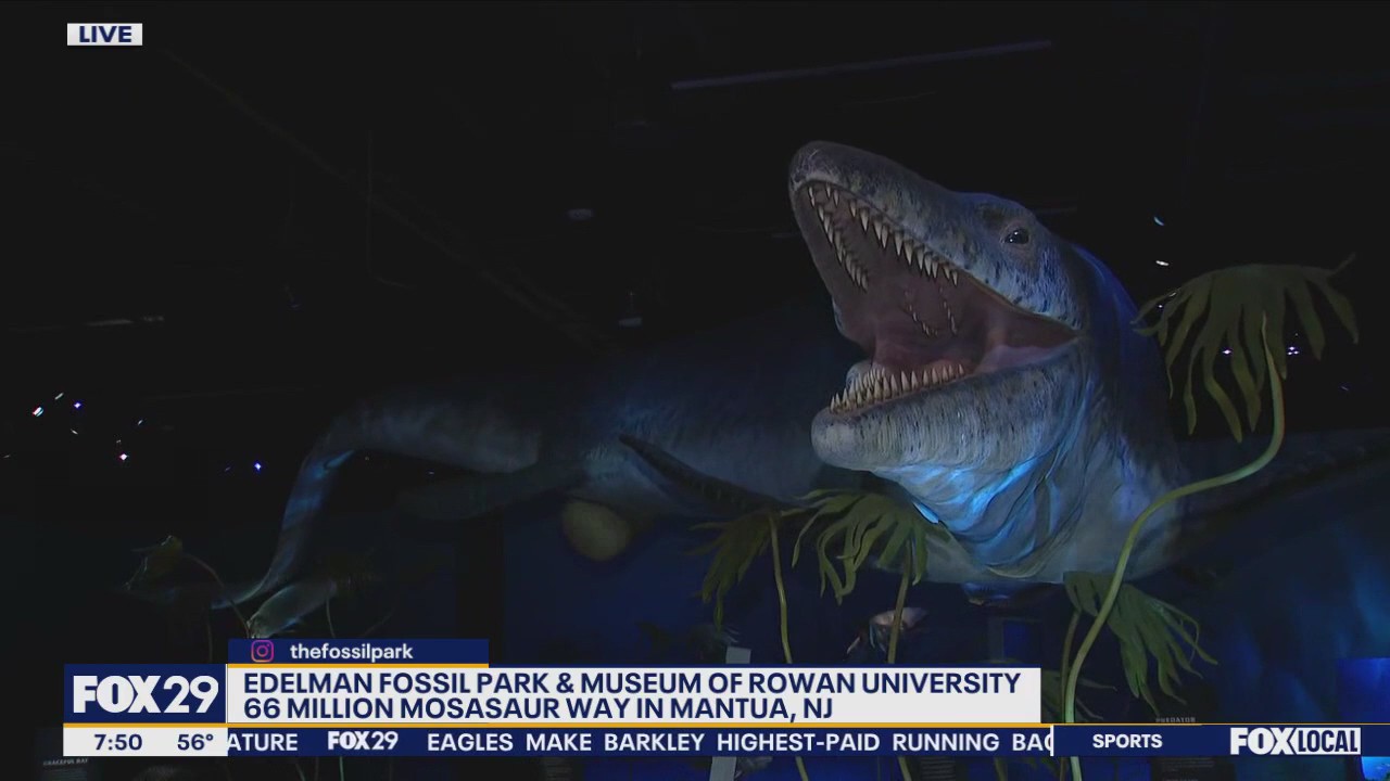 Sneak Preview: Edelman Fossil Park & Museum of Rowan University
