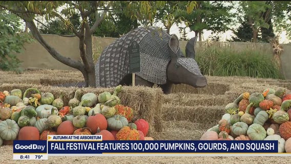 Autumn at the Arboretum