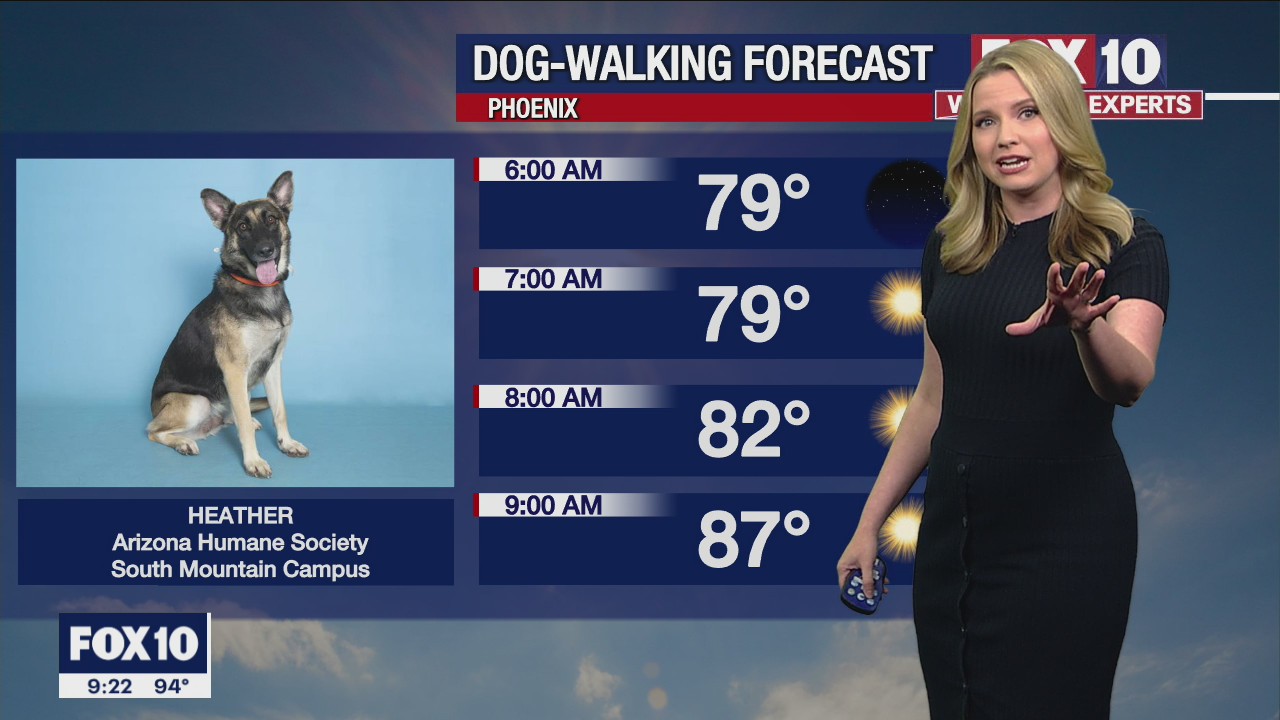 Weekend Weather Forecast