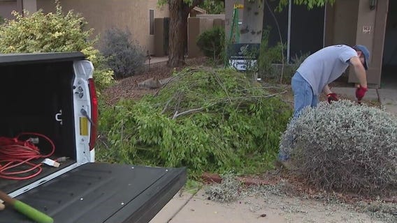 Let's Pull Together: City of Chandler aims to help residents with yard work