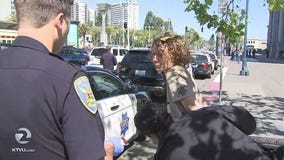 Woman arrested in child snatch attempt