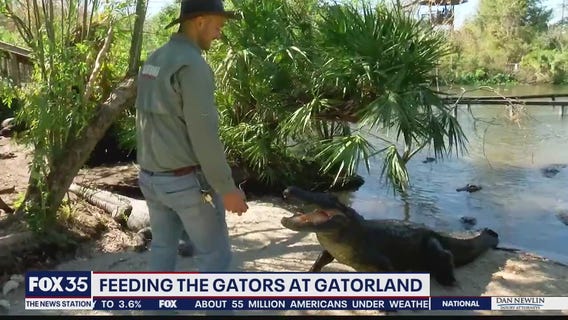 Behind the scenes at Gatorland