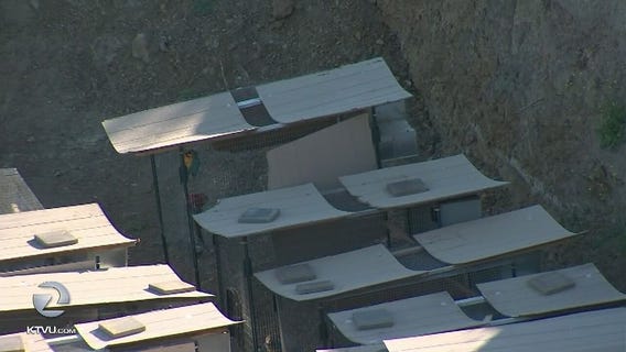 Neighbors cry foul over backyard birds