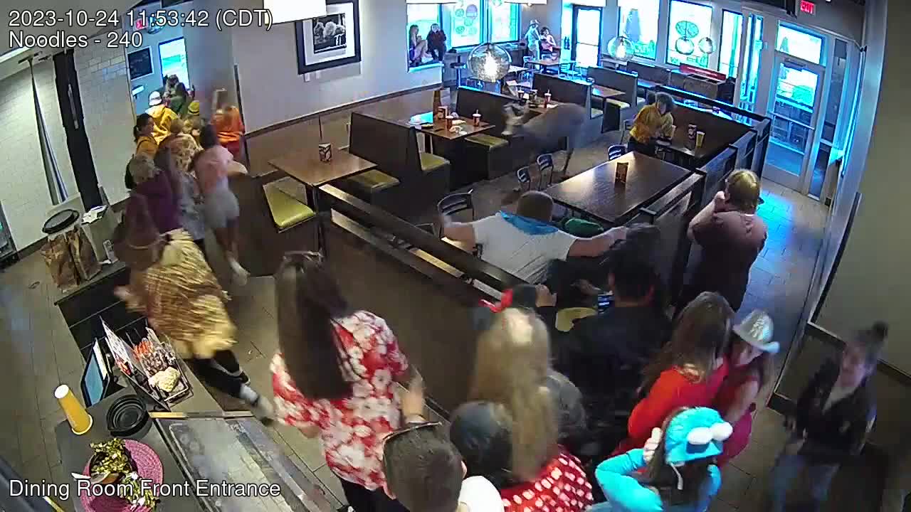 Deer disrupts Wisconsin Noodles & Company lunch