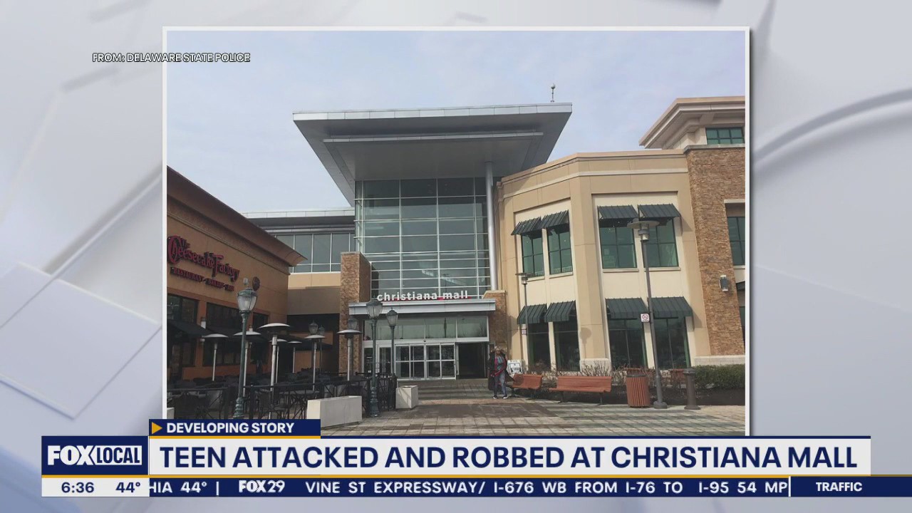 Teenagers accused of attacking another teen, stealing items at Christiana Mall: police