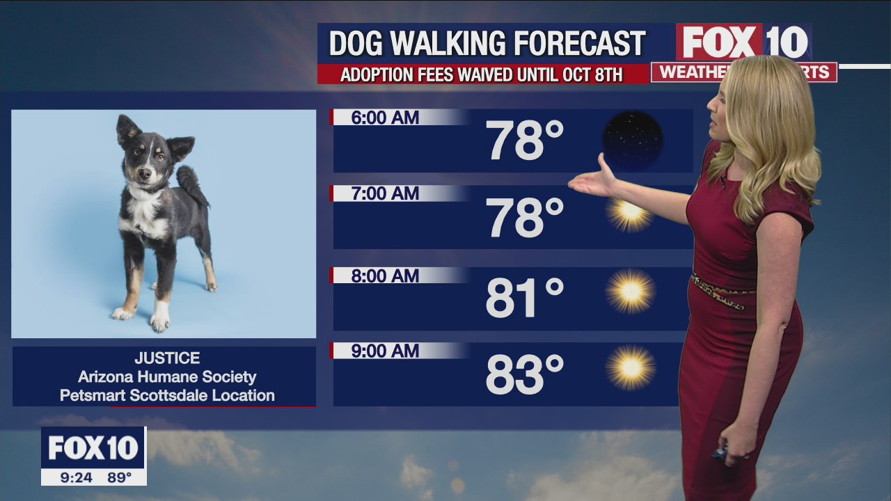 Weekend Weather Forecast