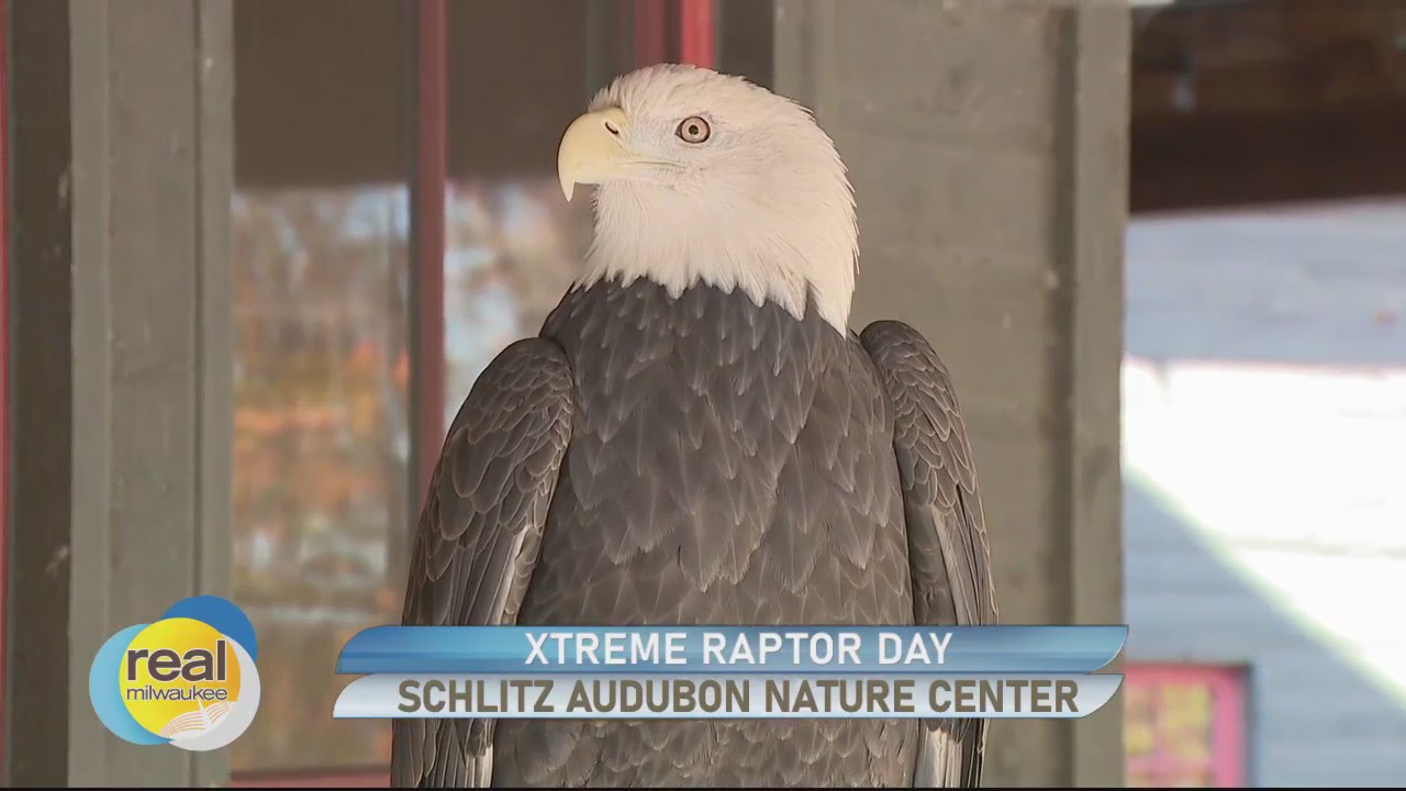 Xtreme Raptor Day returns to Schlitz Audubon Nature Center Satruday