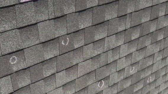 Contact 6 helps resolve storm damage claim