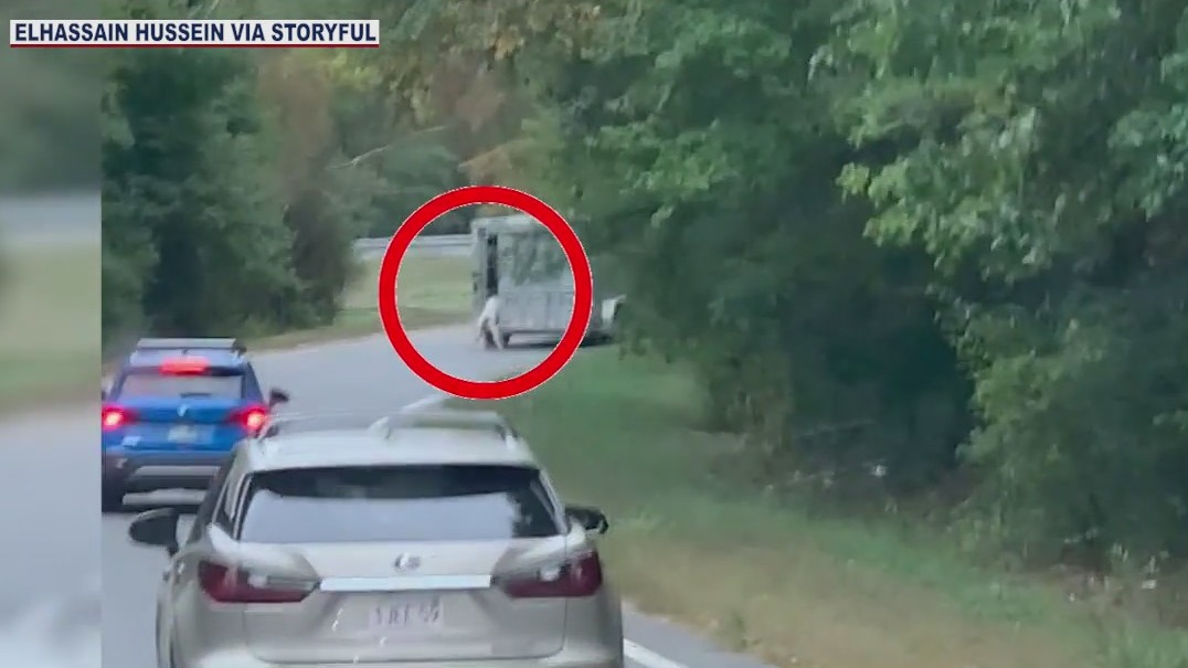 'Don't do it cow.. don't do it' -- Calf jumps from moving trailer