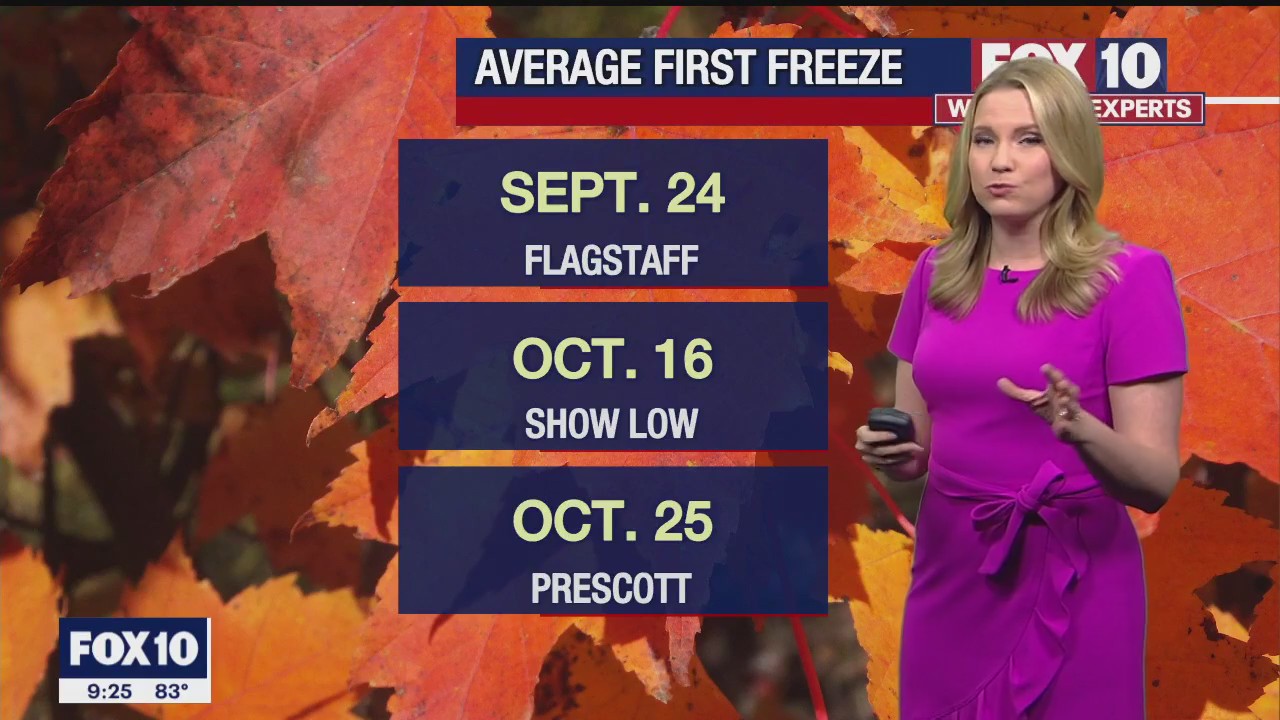 Evening Weather Forecast - 10/10/2022
