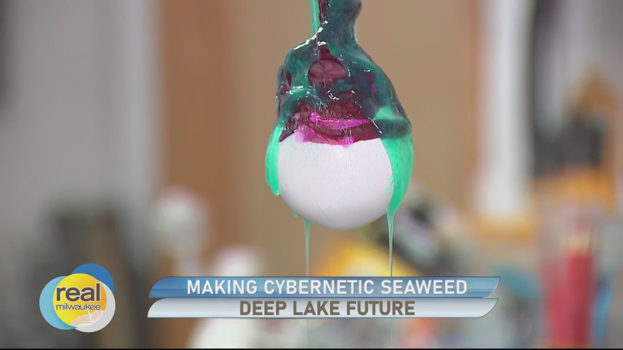 Making Cybernetic Seaweed