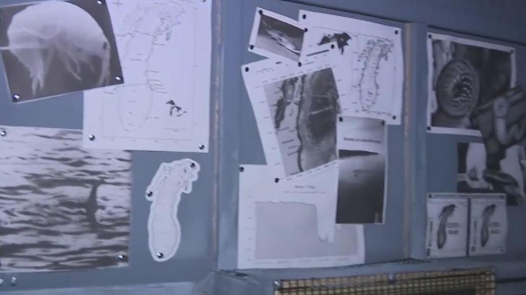 Exhibit showcases invasive species using AI