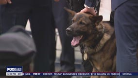 K9 and Philly officer graduate, join Temple University