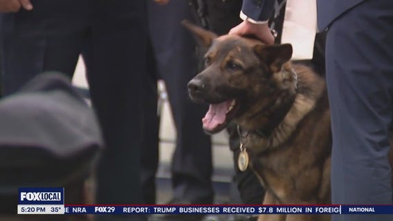 K9 and Philly officer graduate, join Temple University