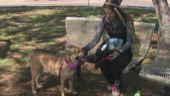 Ani and Kali: A story of resiliency and companionship