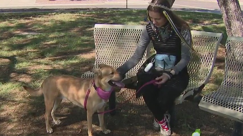 Ani and Kali: A story of resiliency and companionship