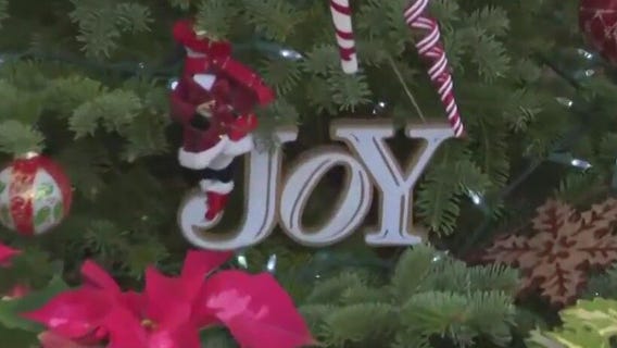 Recreating a snow globe at the Mitchell Park Domes