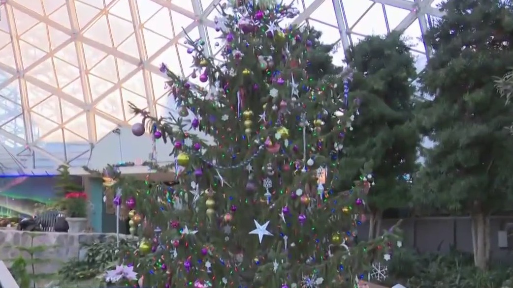 Mitchell Park Domes 'Holiday Snow Globe'