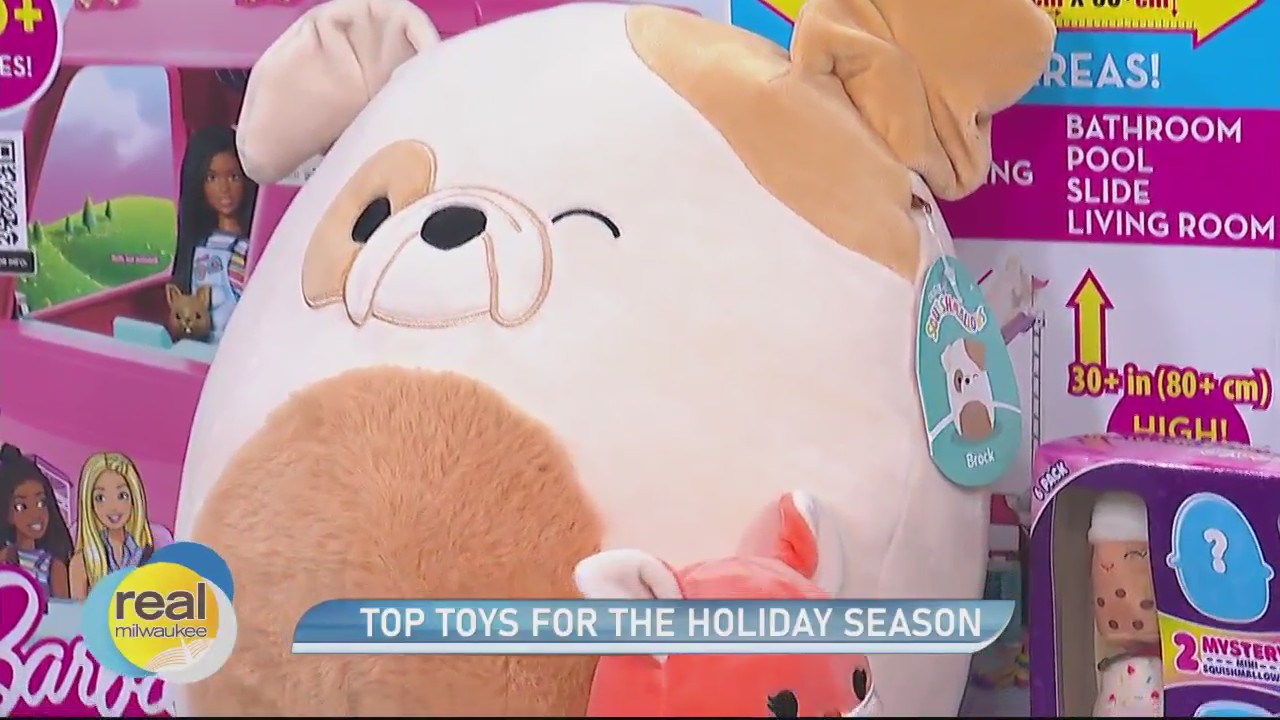 Top toys for the holiday season