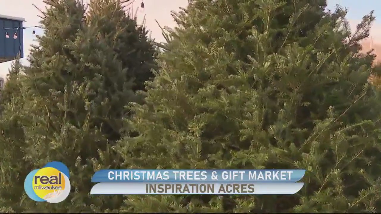 Celebrate the joy of the season at Inspiration Acres