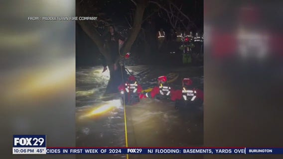 Video of dramatic rescue as victim calls 911 from tree above raging river