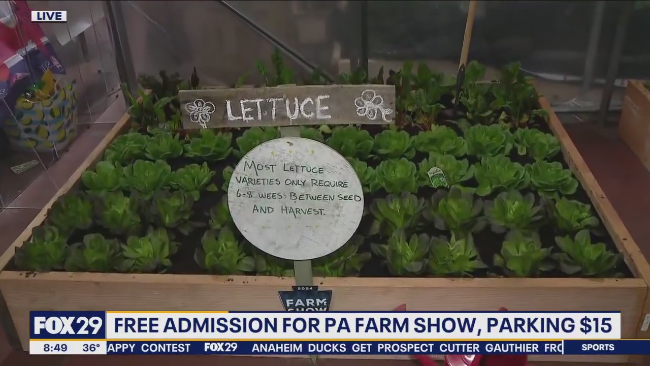 Jenn gets a crash course in farming at Pennsylvania Farm Show