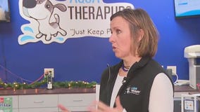 All about Aqua Therapups