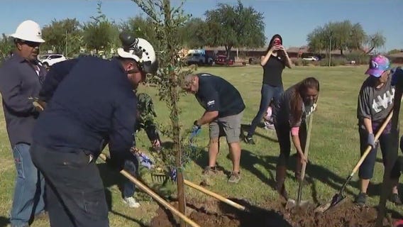 57 trees planted at Phoenix park in honor of Super Bowl LVII