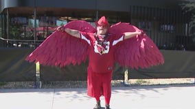 Arizona Cardinals fans gather in Glendale as team takes on New Orleans Saints