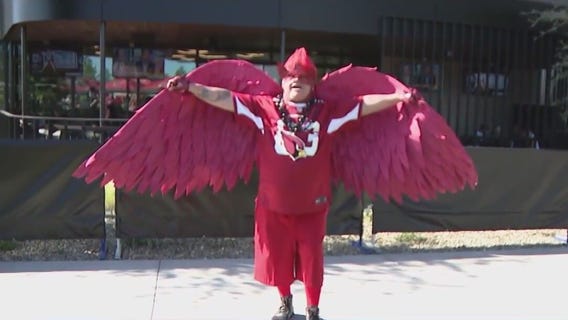 Arizona Cardinals fans gather in Glendale as team takes on New Orleans Saints