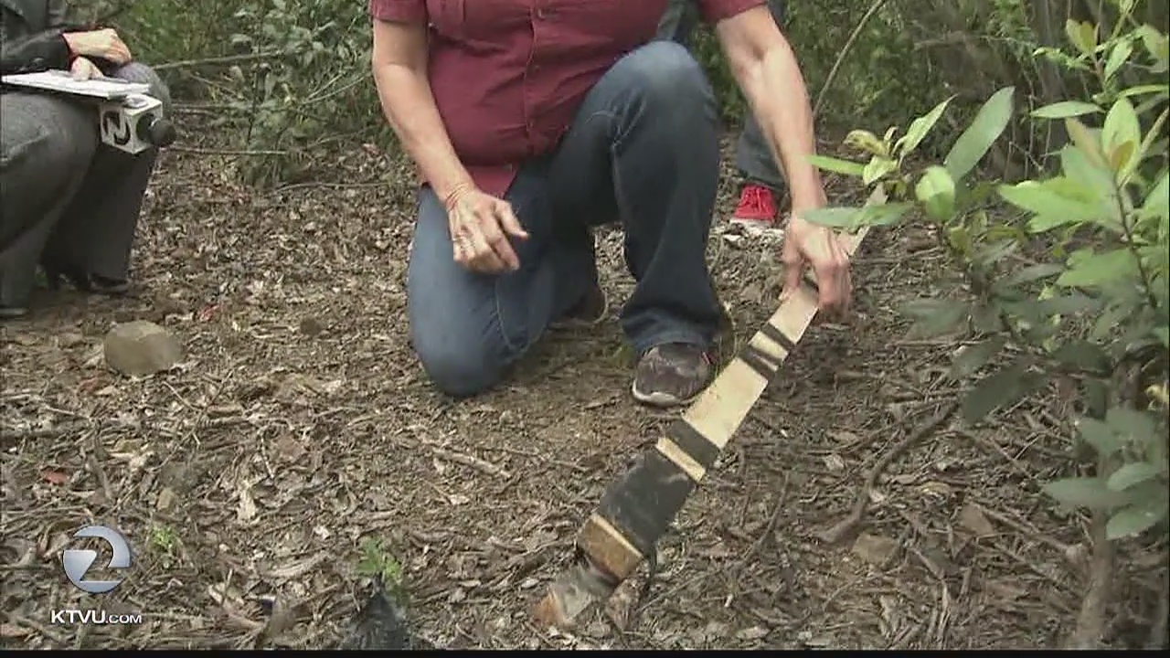 Nearly a dozen dogs found dead in garbage bags near Vallejo park