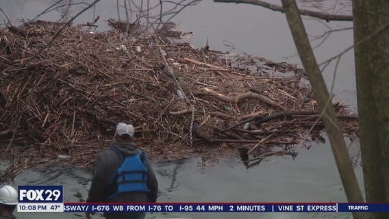 Crews in Delco work to free downed trees from Chester Creek before more rain