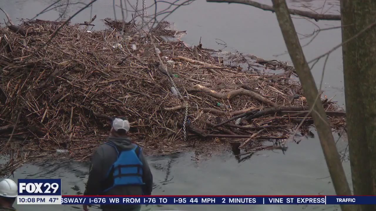 Crews in Delco work to free downed trees from Chester Creek before more rain