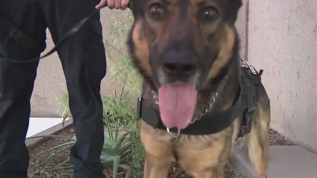 ASU PD K-9 Unit could earn a $15K grant, but needs your help