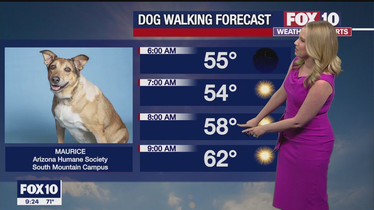 Evening Weather Forecast - 10/23/22