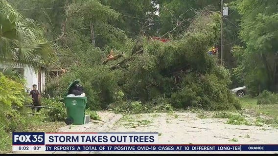Storm takes out trees and power lines in DeLand