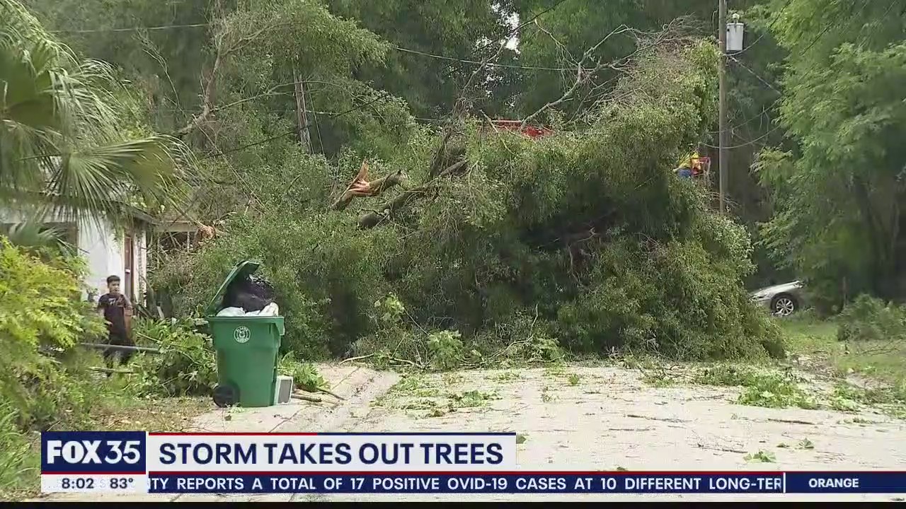 Storm takes out trees and power lines in DeLand