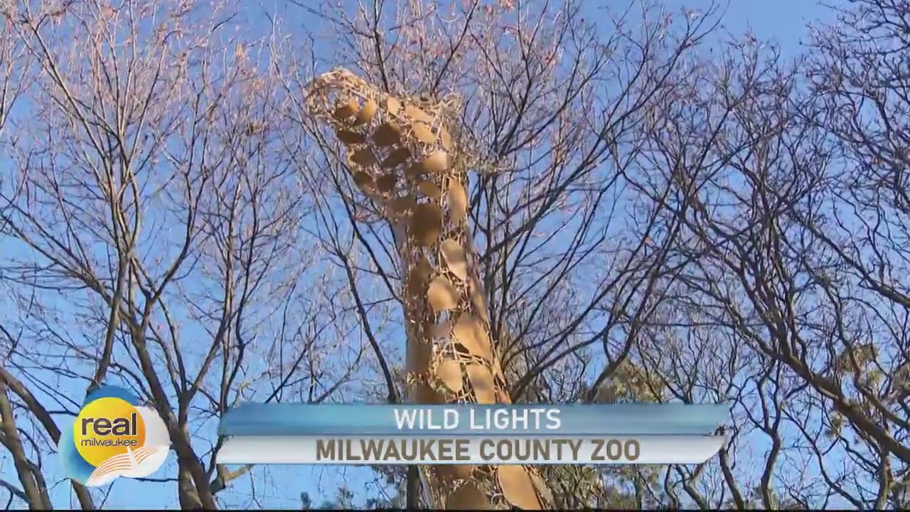 'Wild Lights' at the Milwaukee County Zoo